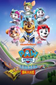 Paw Patrol: Super Rescue