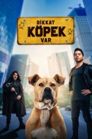 Dikkat Köpek Var