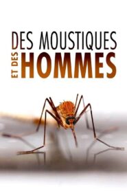 Des Moustiques et des Hommes