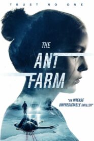 The Ant Farm