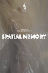 Spatial Memory