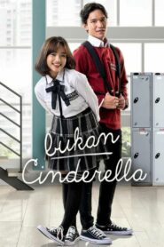 Bukan Cinderella