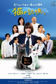 Itoshima Movie: Cat’s Memory