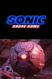 Sonic Drone Home