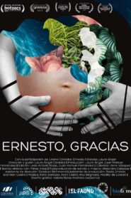 Ernesto, Gracias