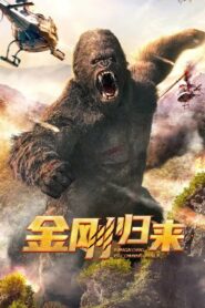 King Kong is Coming Back