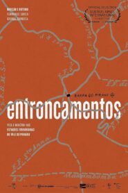 Entroncamentos