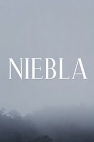 Niebla