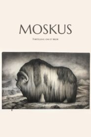 Moskus – Fortelling om et bilde