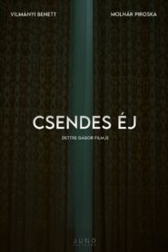 Csendes éj