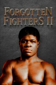 Forgotten Fighters II