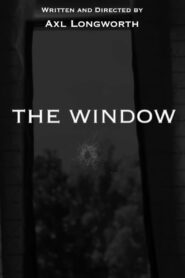 The Window