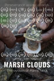 Marsh Clouds: The Oysters of Harris Neck