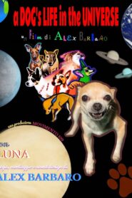 a DOG’s LIFE in the UNIVERSE