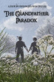 The Grandfather Paradox