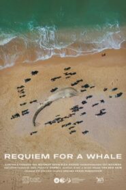 Requiem for a Whale