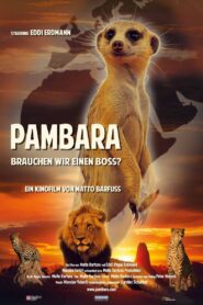 Pambara – Brauchen wir einen Boss?