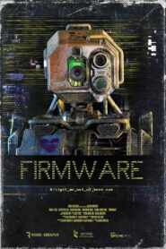 Firmware