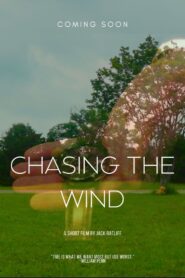 Chasing the Wind