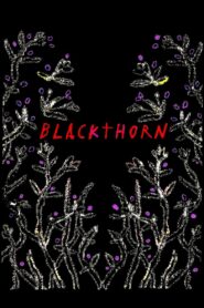 Blackthorn