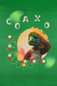 Coaxo