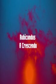 Rubicundus