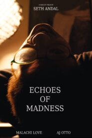 Echoes of Madness