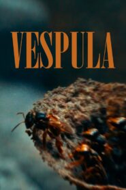 Vespula