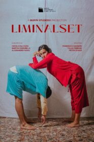 Liminalset