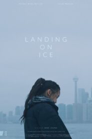 Landing On Ice