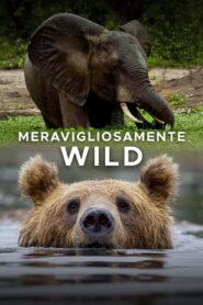 Meravigliosamente wild