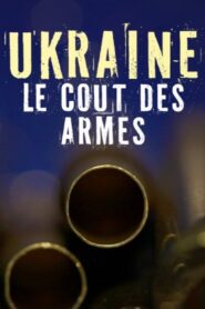 Ukraine, le coût des armes