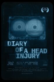 Diary of a Head Injury