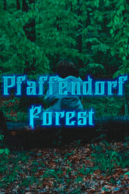 Pfaffendorf Forest