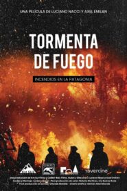 Tormenta de fuego: Incendios en la Patagonia