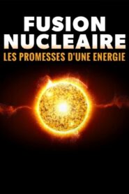 Versprechen Kernfusion? – Der Wettlauf um die Energie der Zukunft