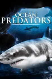 Ocean Predators