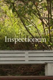 Inspectionem