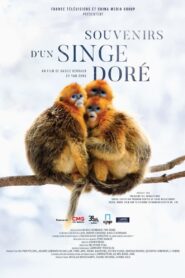 Souvenirs d’un singe doré