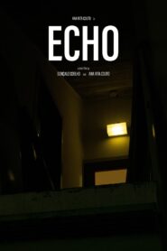 Echo