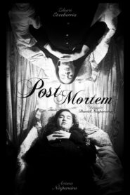 Post Mortem