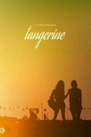 Merry F*cking Christmas: the making of Tangerine