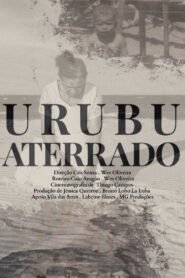 Urubu Aterrrado