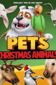 Pets: Christmas Animals