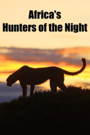 Africa’s Hunters of the Night