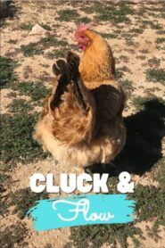 Cluck & Flow