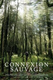 Connexion sauvage