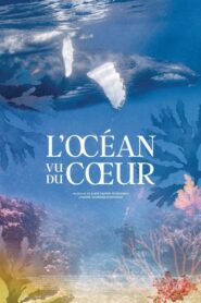 L’Océan vu du cœur