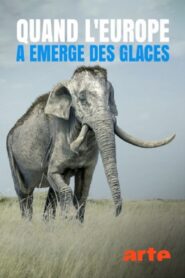 Quand L’Europe A Emergé Des Glaces