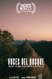 Voces Del Bosque